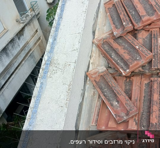 רעפים על גג עם קוצים למניעת ציפורים